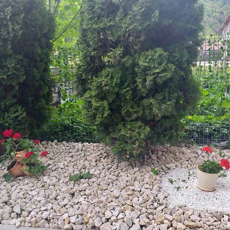 Miraj Hotel Azuga Buitenkant foto