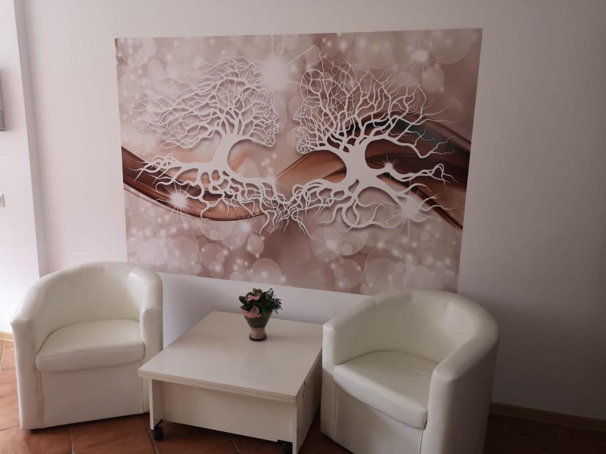 Miraj Hotel Azuga Buitenkant foto