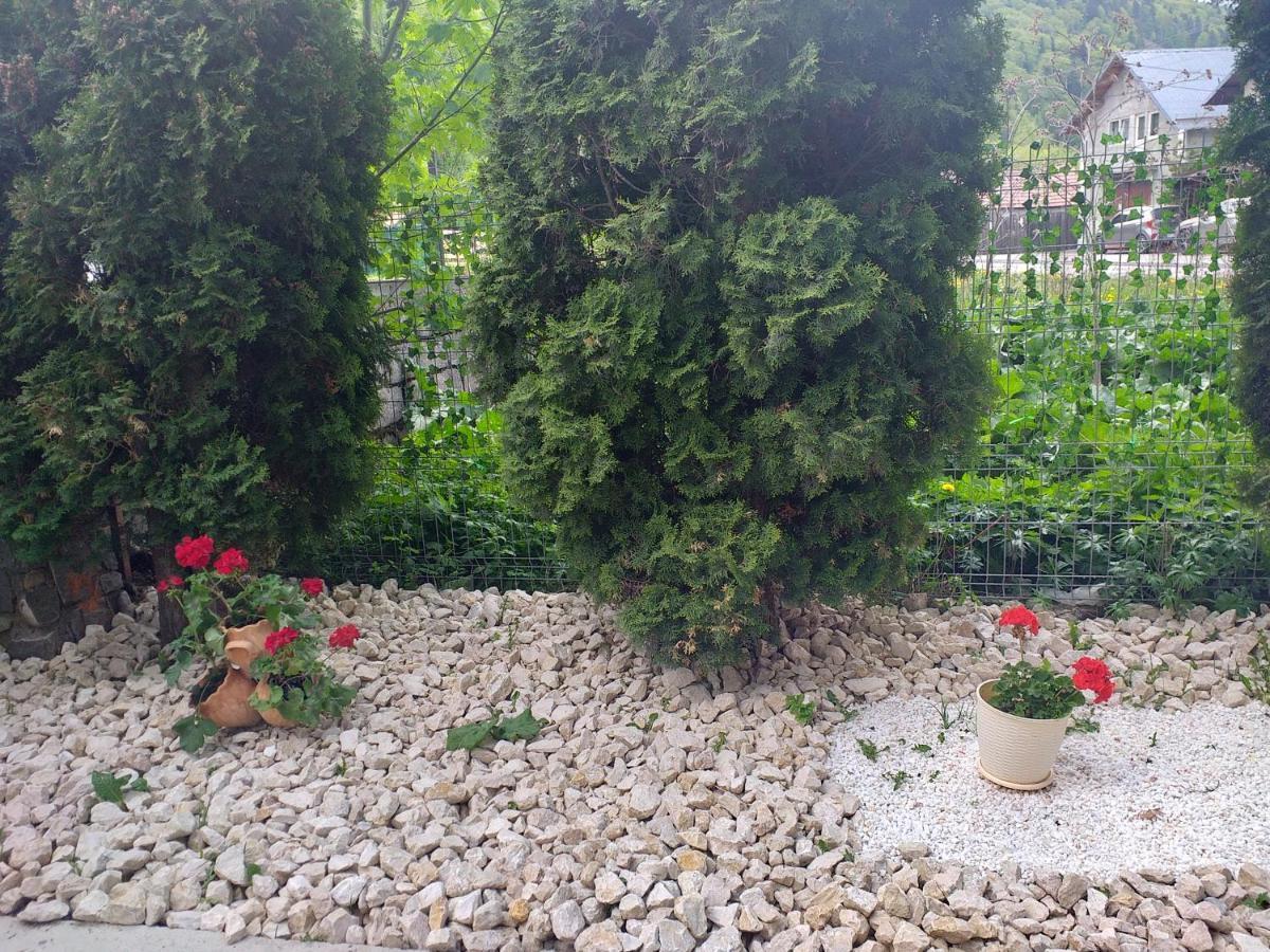 Miraj Hotel Azuga Buitenkant foto